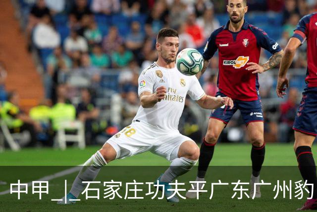 中甲 | 石家庄功夫平广东广州豹