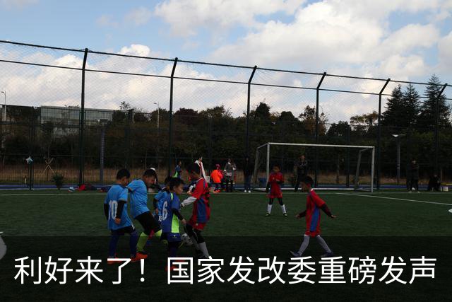 利好来了！国家发改委重磅发声