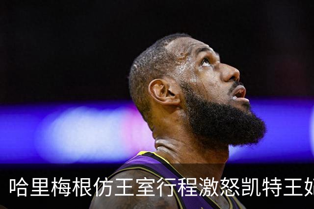 哈里梅根仿王室行程激怒凯特王妃，多年积怨爆发，坚持先问责