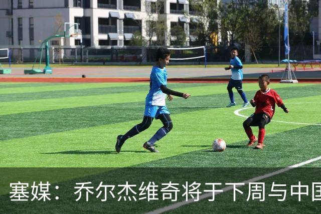 塞媒：乔尔杰维奇将于下周与中国篮协签约