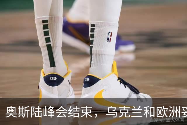 奥斯陆峰会结束，乌克兰和欧洲妥协了？