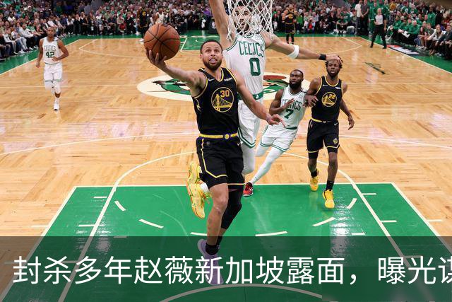 封杀多年赵薇新加坡露面，曝光谋生手段，网友：想不到她会干这个