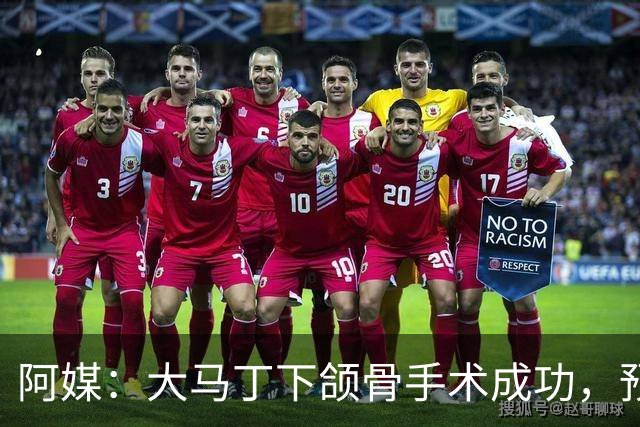 阿媒：大马丁下颌骨手术成功，预计将休战一个半月