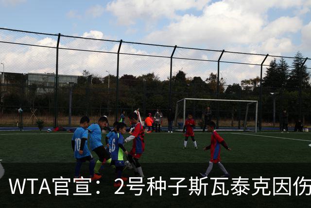 WTA官宣：2号种子斯瓦泰克因伤退出宁波赛 基本失去冲总决赛希望